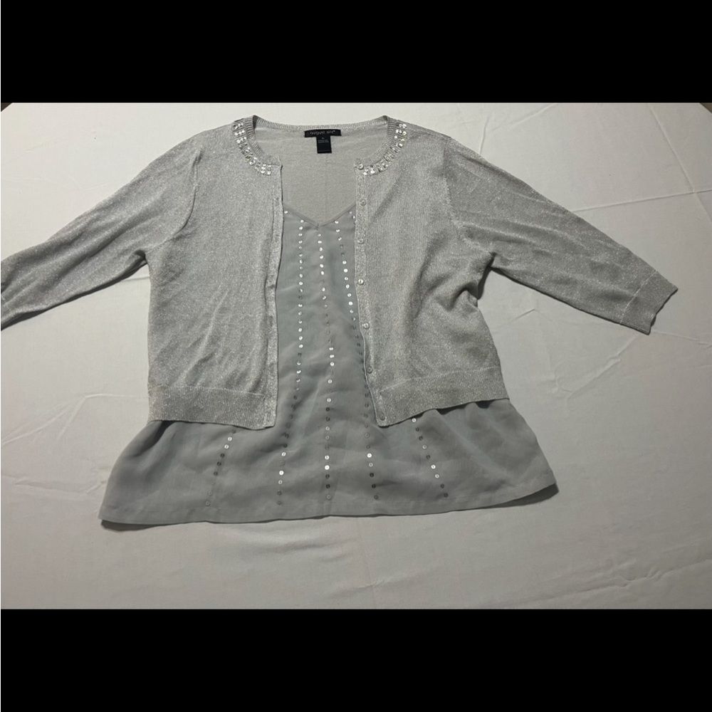 August Silk Shimmering Silver Knit Top